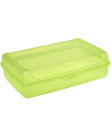 Plastový box MAXI - zelený   POSLEDNÉ 4 KS