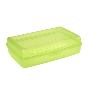 Plastový box MAXI - zelený   POSLEDNÝ 1 KS
