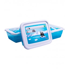 Set MEMORY POLAR, 3 x 1,25 l