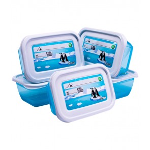 Set MEMORY POLAR, 5 x 0,5 l
