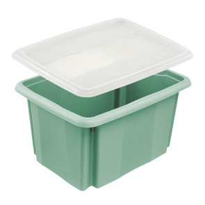 Plastový box Colours, 15l, zelený s vrchnákom